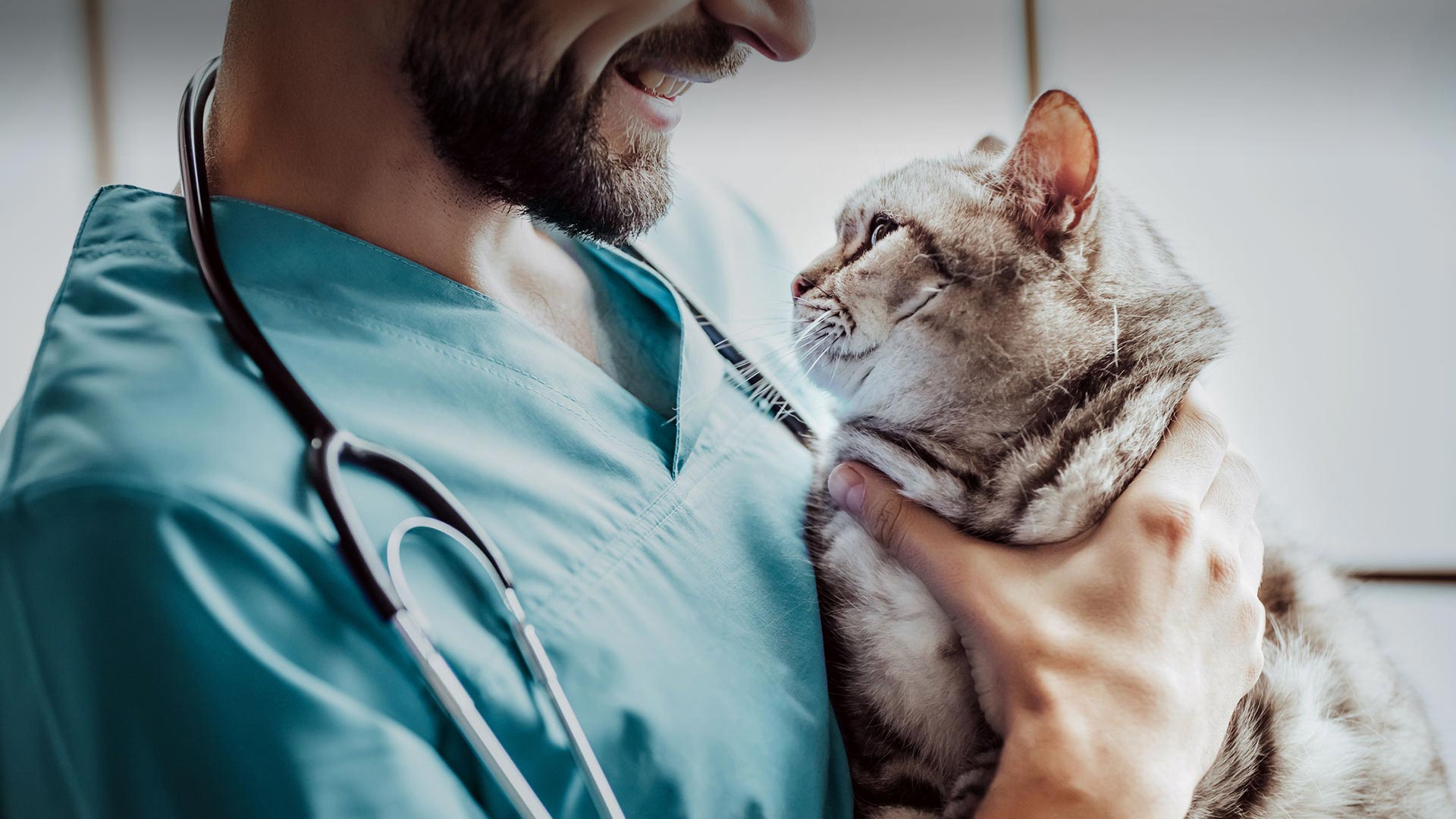 Doğançay Veteriner